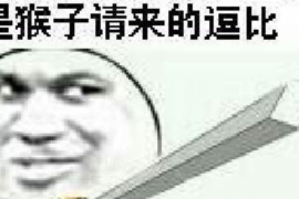 秀城债务清欠服务